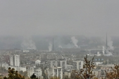 Grad-Bor-u-dimu