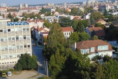 SnZeleno1