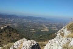Stol0910210008